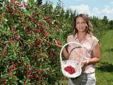 TUI Care Foundation Launches 'Field to Fork' Support Mechanism in Western Balkans