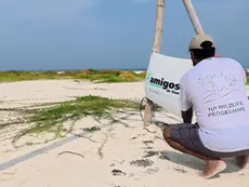 TUI Care Foundation Launches 2-Year Conservation Programme in Mexico