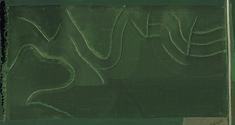 Salebill - Land Satelite Image (Albert).png