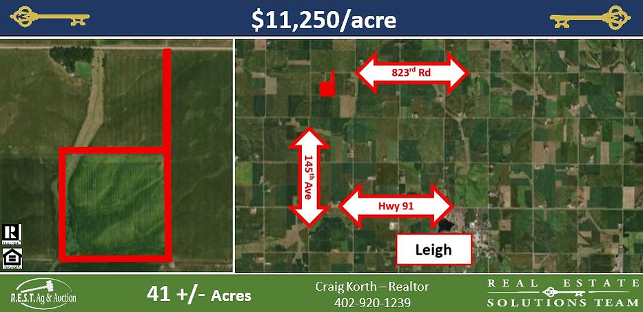 Land Auction Post NEW.jpg