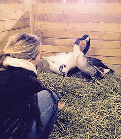 Merete5 samtale jan.jpg