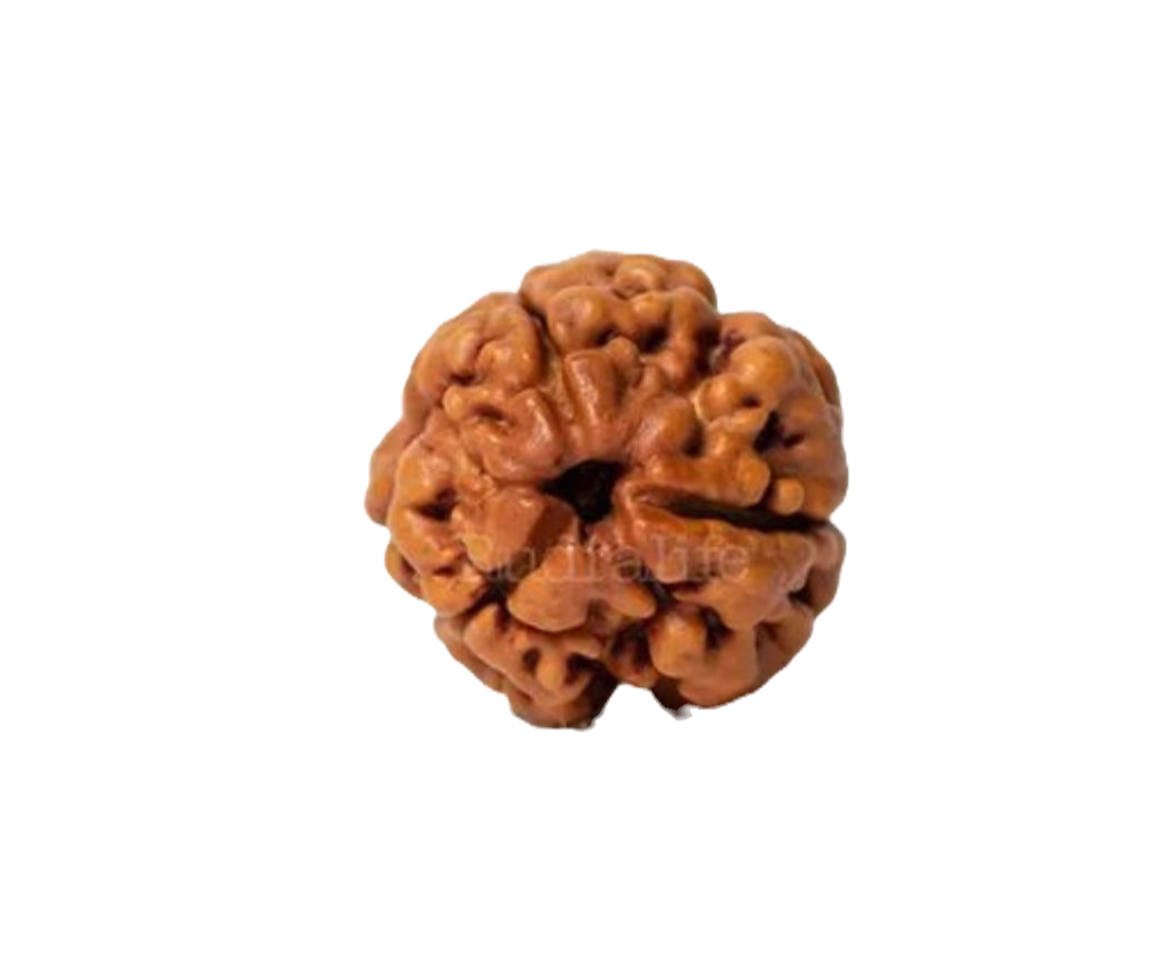 RUDHRAKSHA 3 EYE