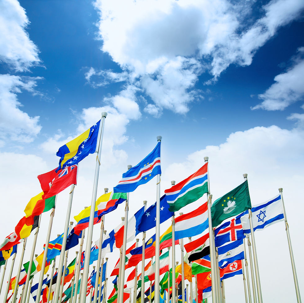 International Expertise