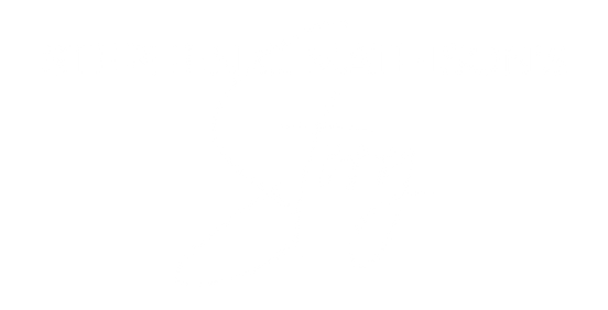 SCM Story.png