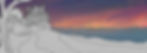 beach background 2 - walking.jpg