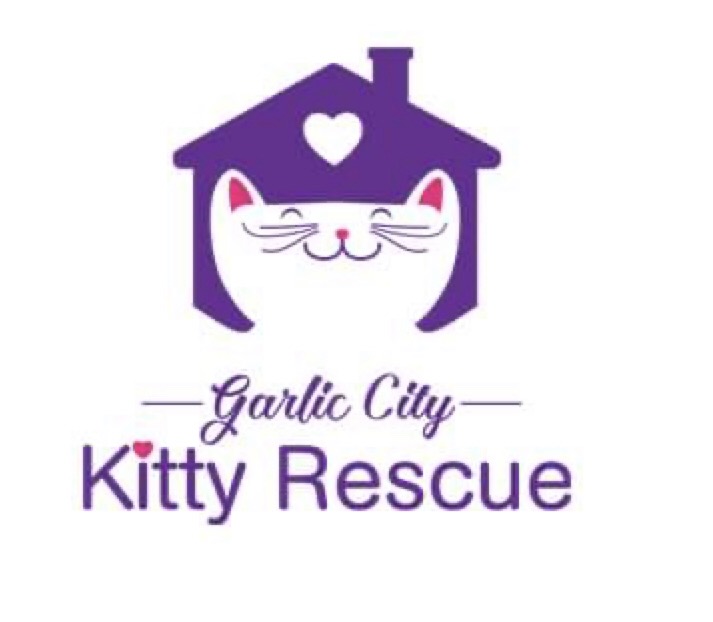 Writer: Garlic City Kitty Rescue