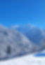 20231203_114047.jpg