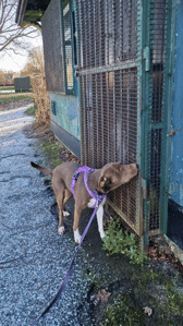 20260102_120021 (2).gif