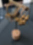 Gold Ring.JPG
