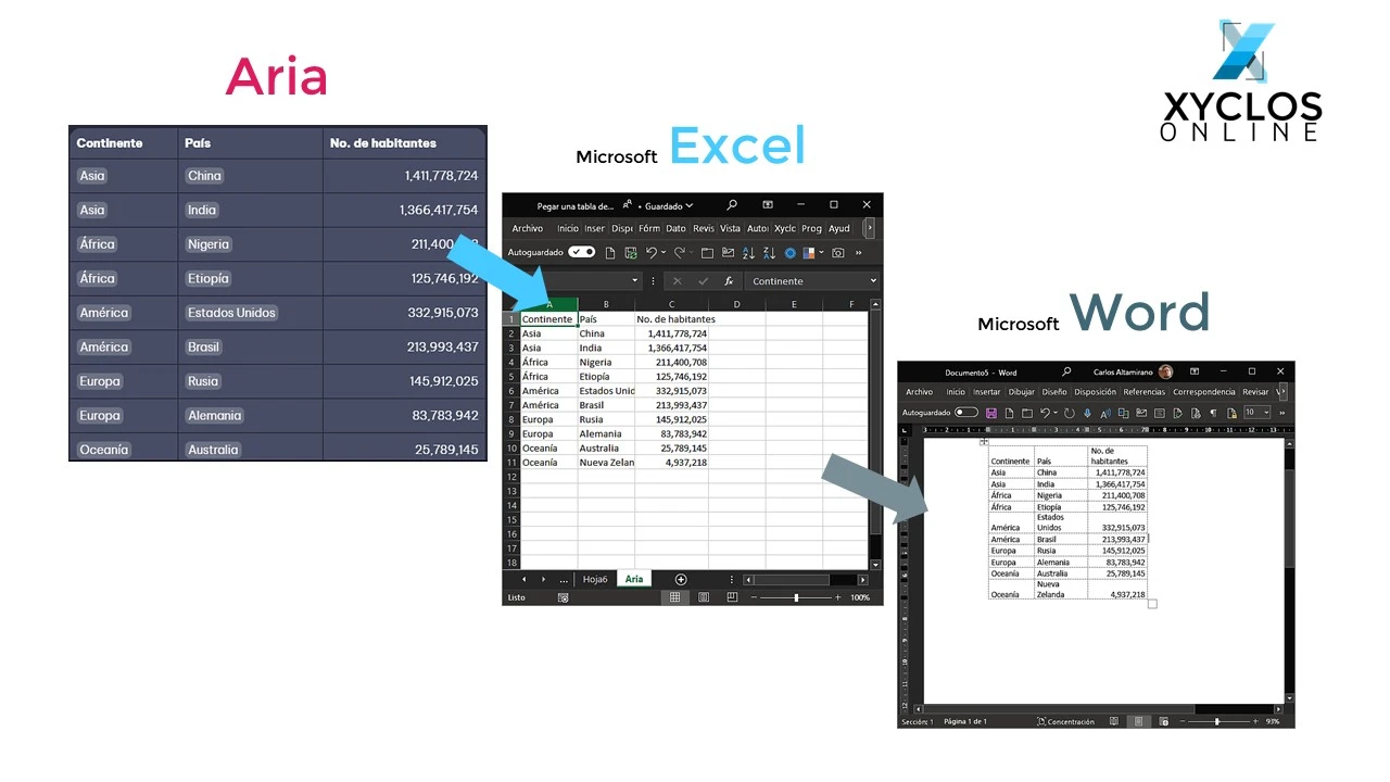 Resultados de pegar una tabla de Aria en Microsoft Excel y Word | Xyclos