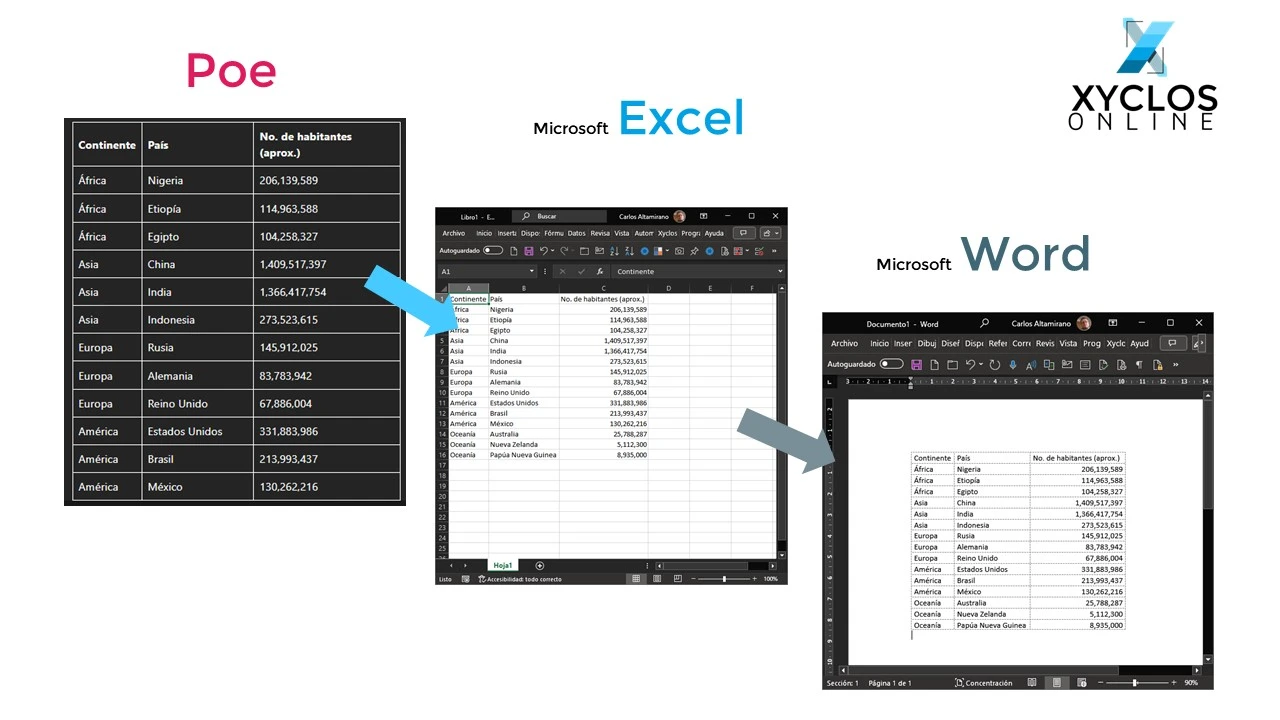 Resultados de pegar una tabla de Poe en Microsoft Excel y Word | Xyclos