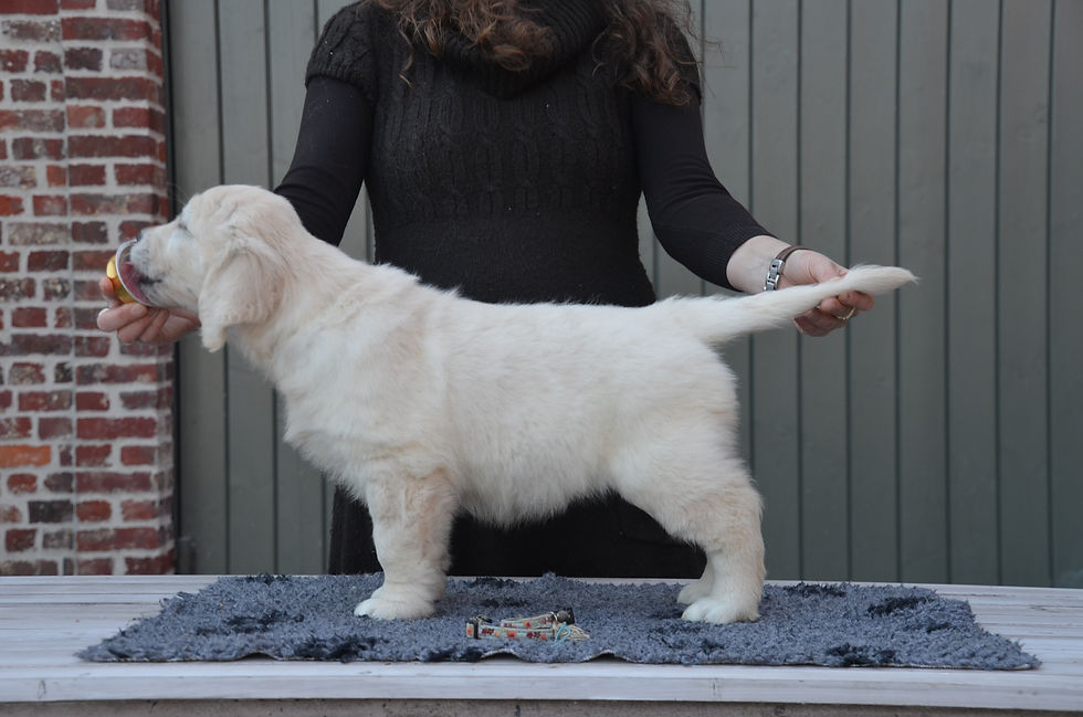 Moon CACT pups + stand 8 wekn 369