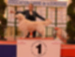 Torro podiumm