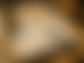 This Is Not a Business. It Is a Mission.