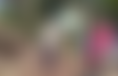 Brazil Demarcates Land for Isolated Amazon Indigenous Group