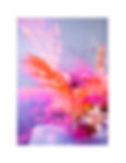 The Princess print-white mat_edited.jpg