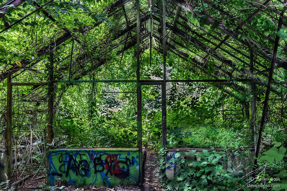Welwyn Preserve #5, Glen Cove, NY