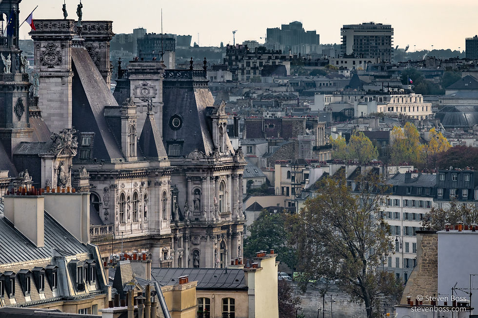 Hôtel de Ville - partial view of the roof, Paris, France