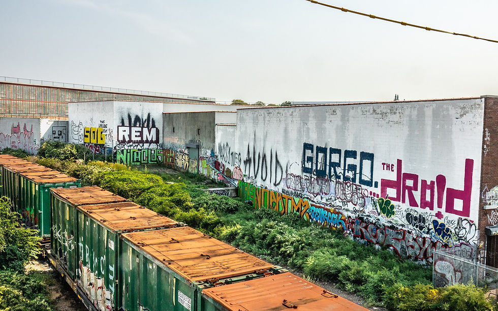The Bushwick Branch #4, Brooklyn, NY