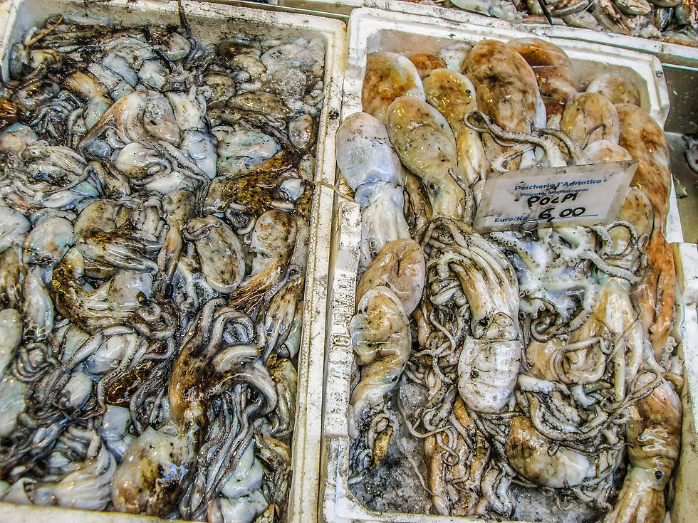 Polpi (octopuses) for sale, Bologna