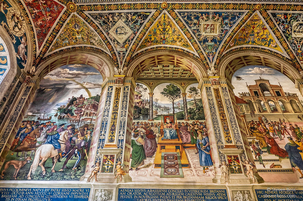 Duomo di Siena (Cattedrale Metropolitana di Santa Maria Assunta) #79, Siena