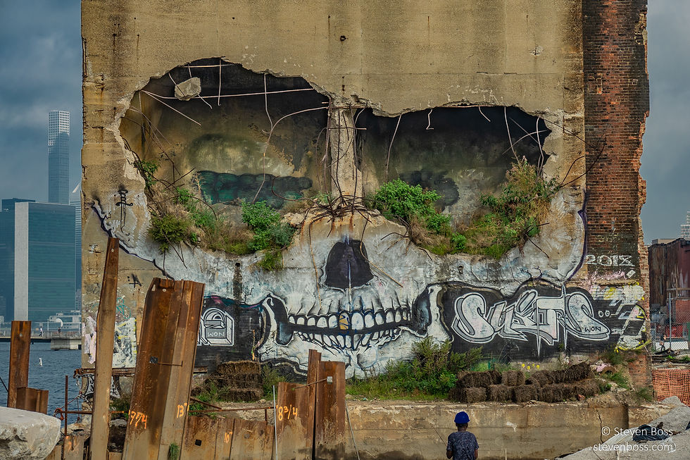 The skull mural by Suitswon, October 10, 2018 (DSC03222) (c) Steven Boss