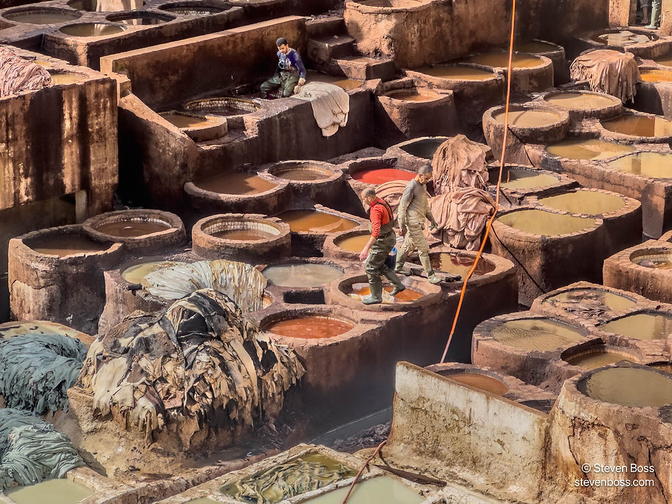 Chouara Tannery #24, Fes