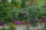 Villa Comunale - public gardens #2, Taormina, Sicily