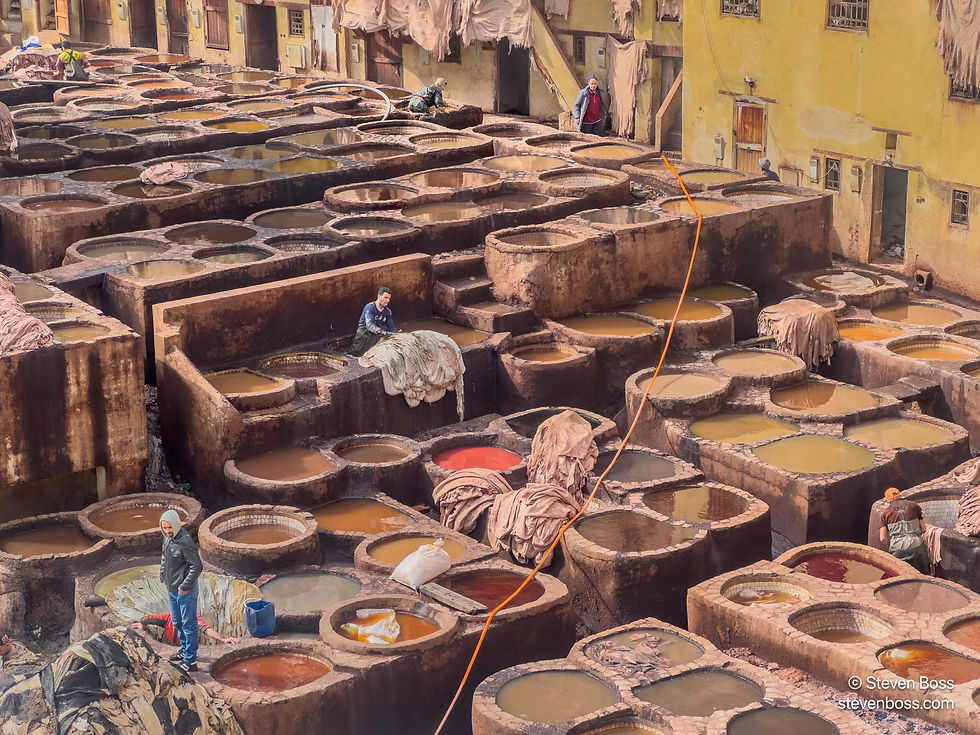 Chouara Tannery #17, Fes
