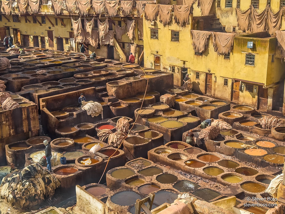 Chouara Tannery #6, Fes