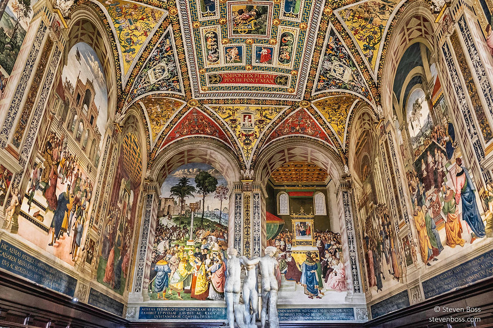 Duomo di Siena (Cattedrale Metropolitana di Santa Maria Assunta) #78, Siena