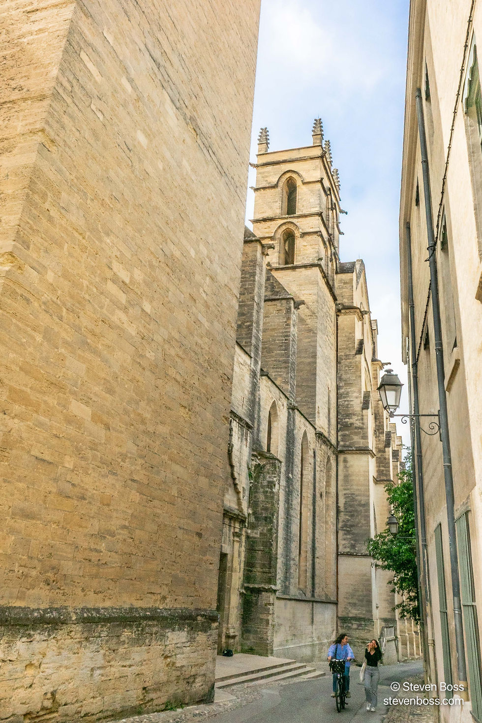 Cathédrale Saint-Pierre - Exterior #7, Montpellier, France