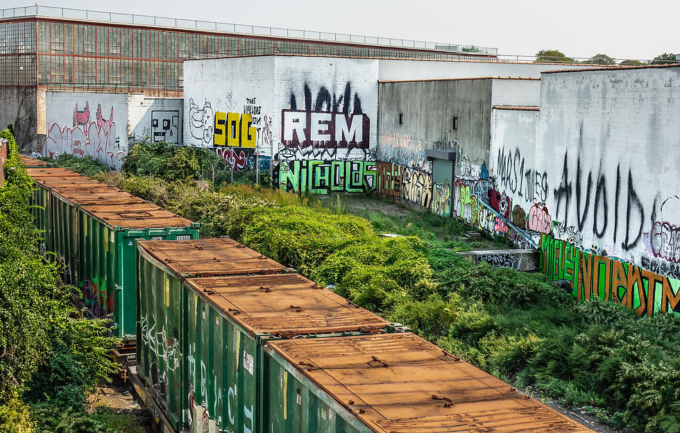 The Bushwick Branch #5, Brooklyn, NY