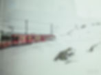 The train rounding a curve in a snow storm - from the window of the Bernina Express #3, Poschiavo, Switzerland