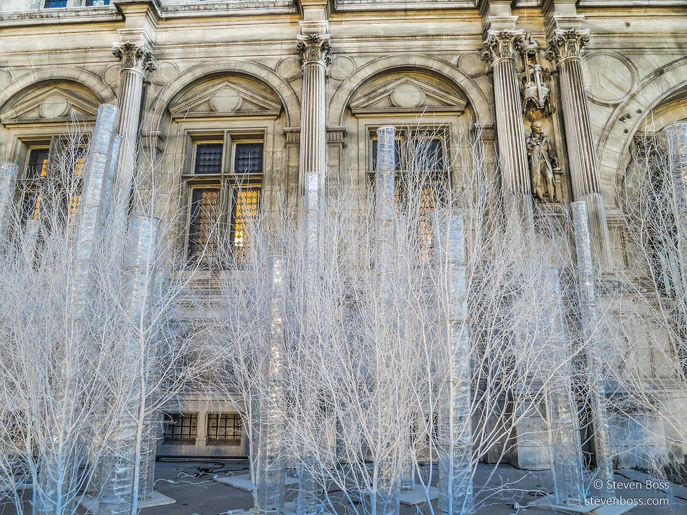 Hôtel de Ville - the west façade with Christmas decorations out front, Paris, France
