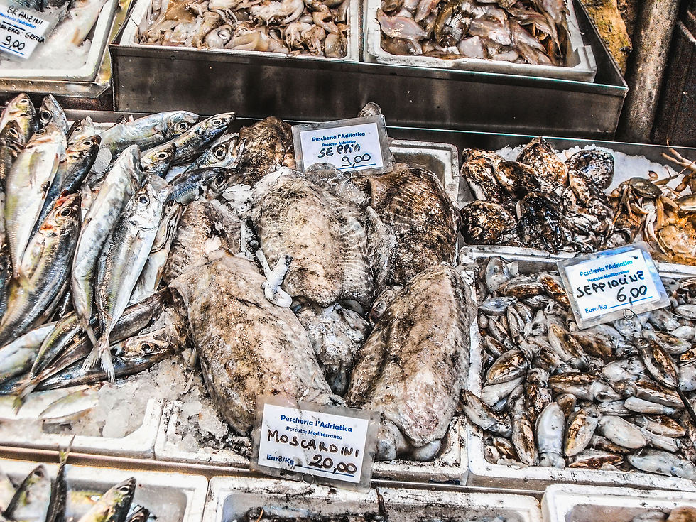 Seafood for sale, Bologna