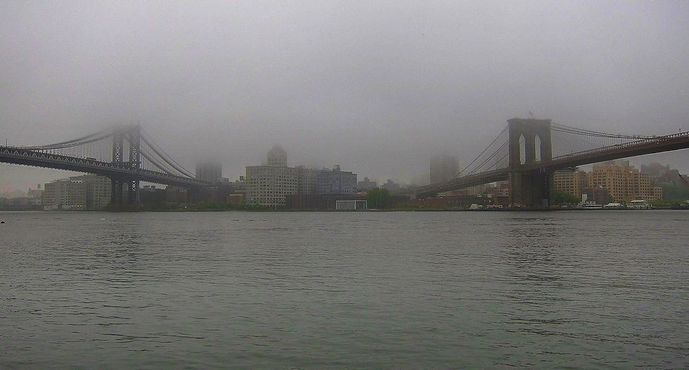 Rising fog over Brooklyn this early morning, New York, NY