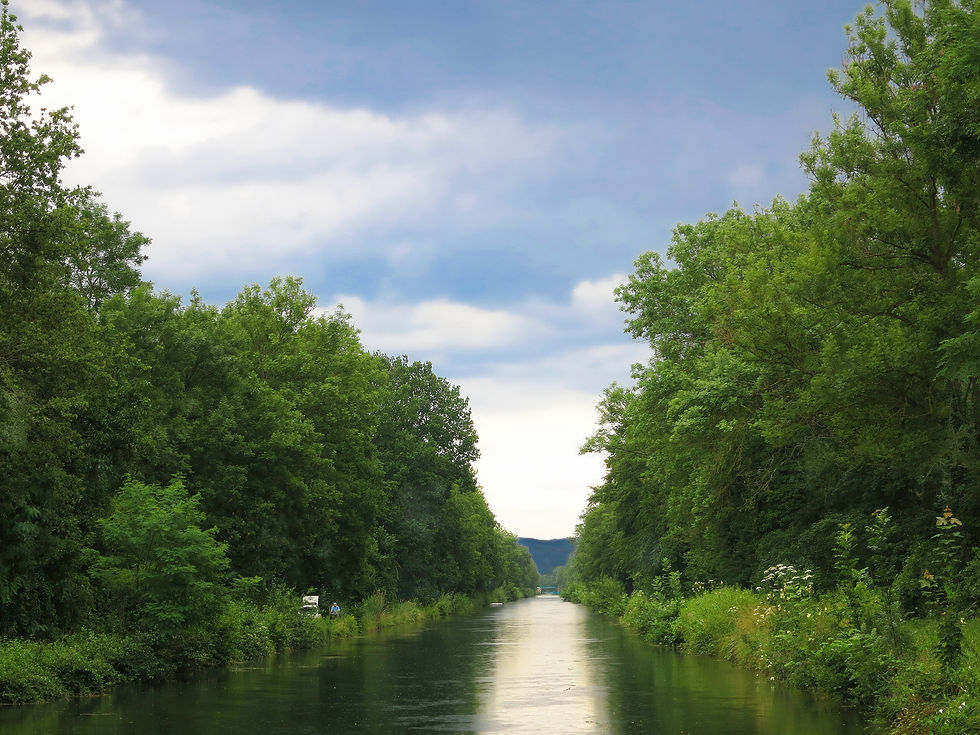 The tranquil Canal de Colmar on a late afternoon, Alsace, France