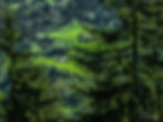 Looking down to the green valley below #4 - from the window of the Bernina Express, Poschiavo, Switzerland