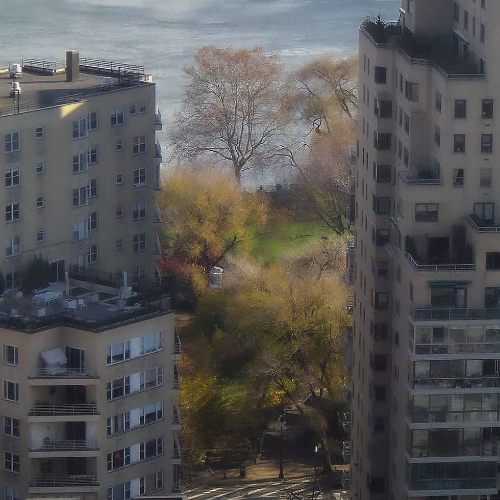 View of Carl Schurz Park #2, New York, NY