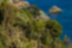 View down the hill over the trees to the pool overlooking the sea at the Capotaormina Hotel, Taormina, Sicily