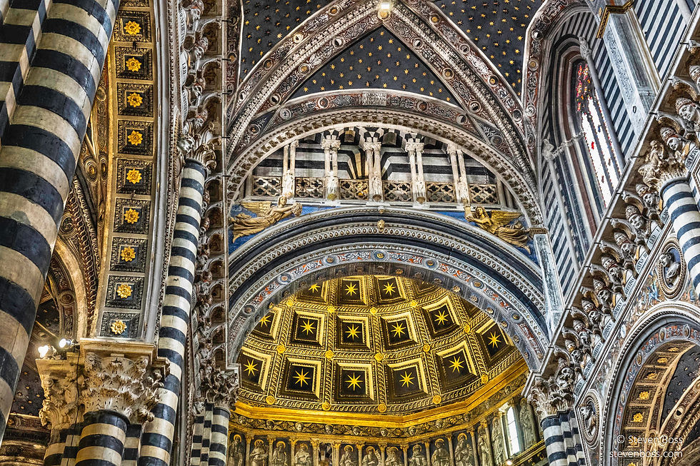 Duomo di Siena (Cattedrale Metropolitana di Santa Maria Assunta) #95, Siena