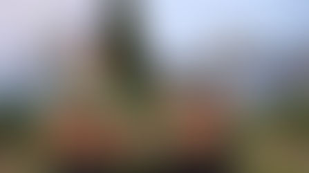 Mise en place des décorations de Pâques