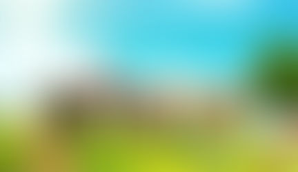 Opération village propre - Nettoyage de printemps