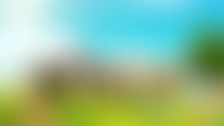 Opération village propre - Nettoyage de printemps