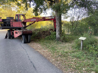 Des travaux sur les berges de l'étang