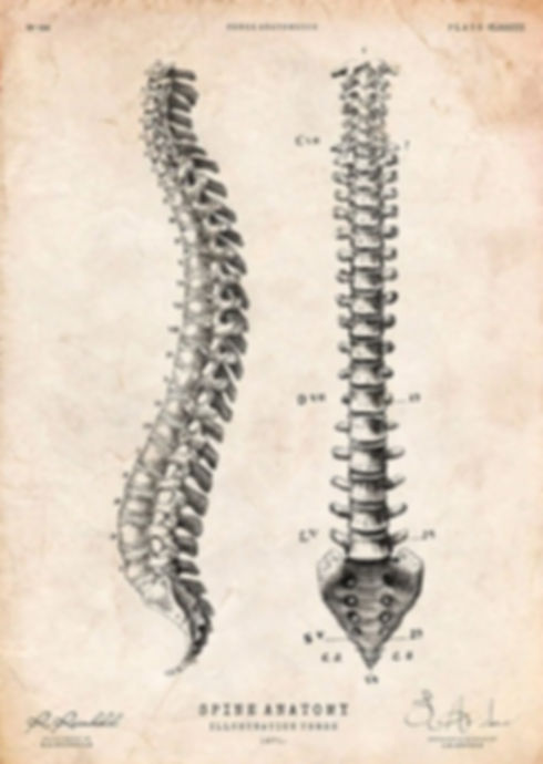 spine health massage hillsborough nc bodywork massage therapist