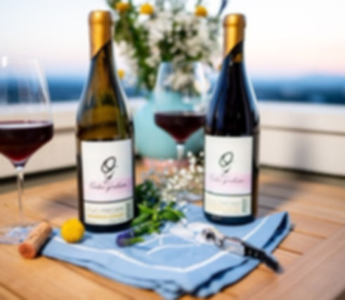 22 wines.jpg