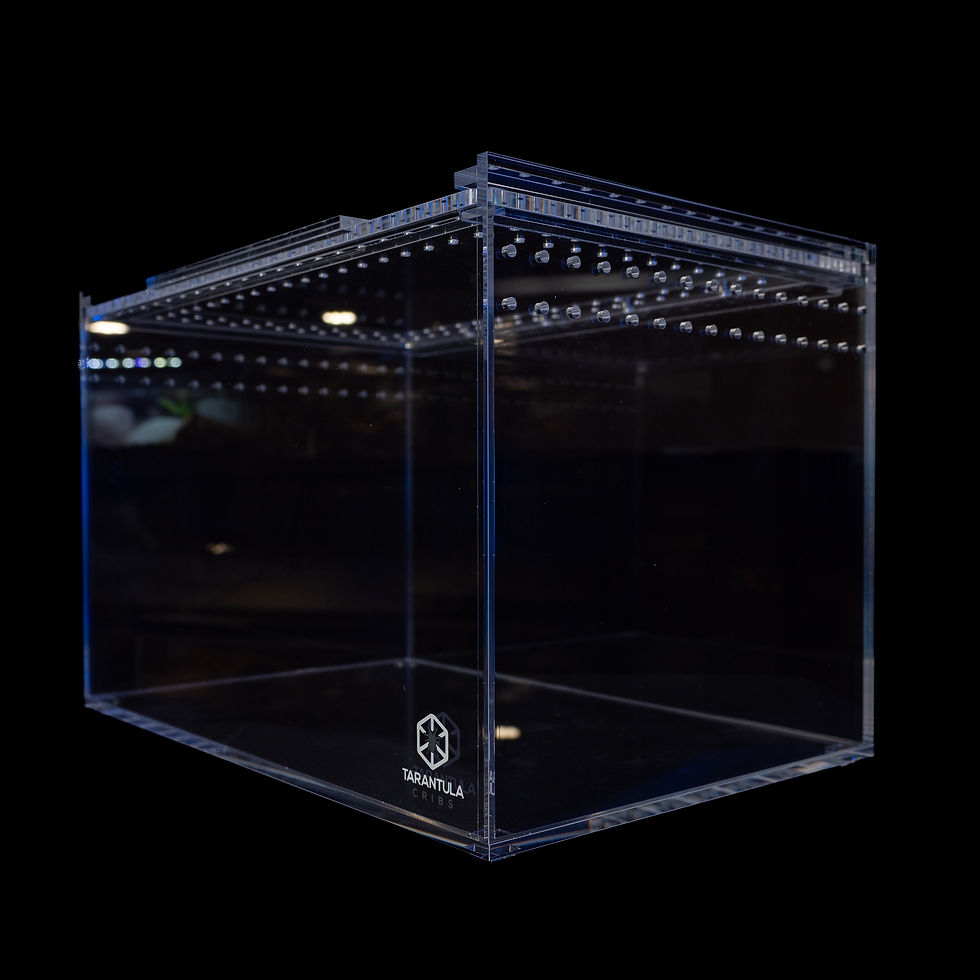 Terrestrial Enclosures Tarantula Cribs 2/2