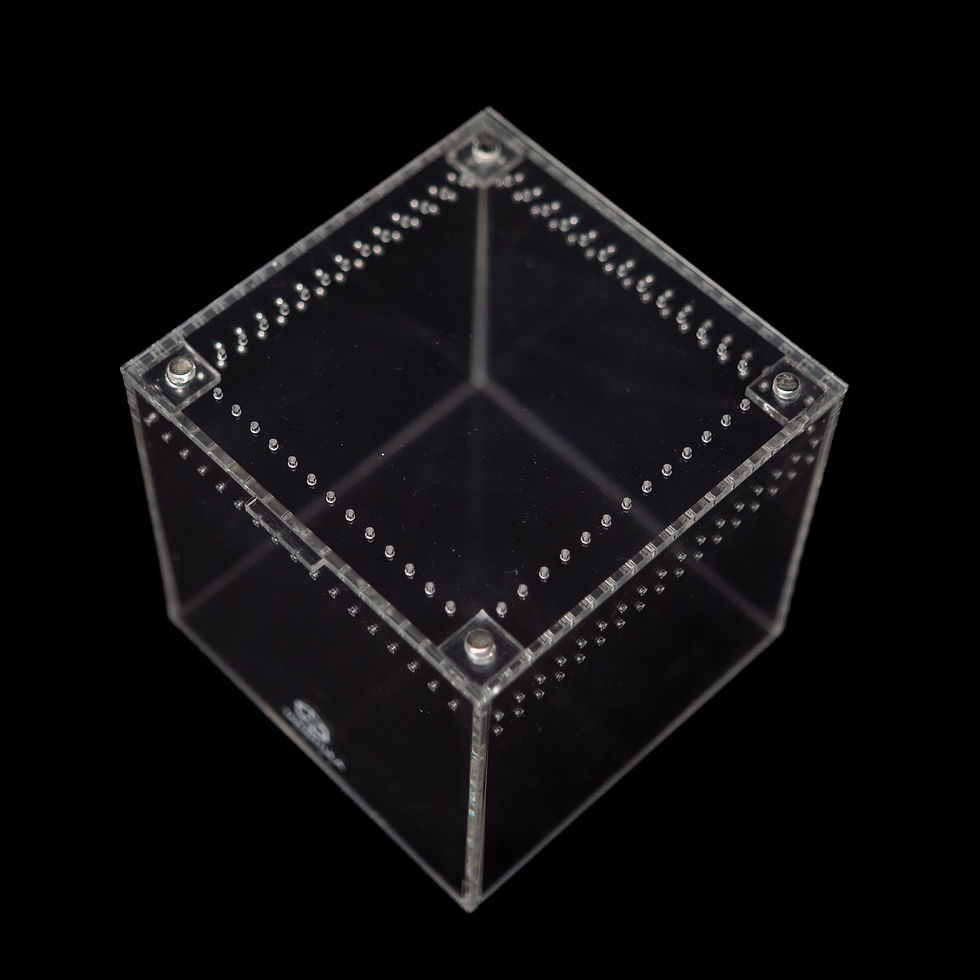 Thumbnail: 6" Tarantula Cube